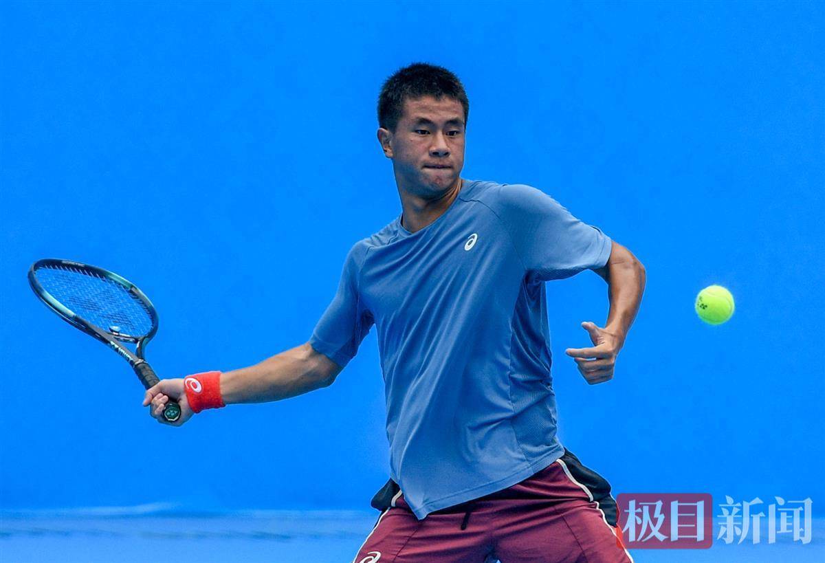 他俱乐部树 他俱乐部树